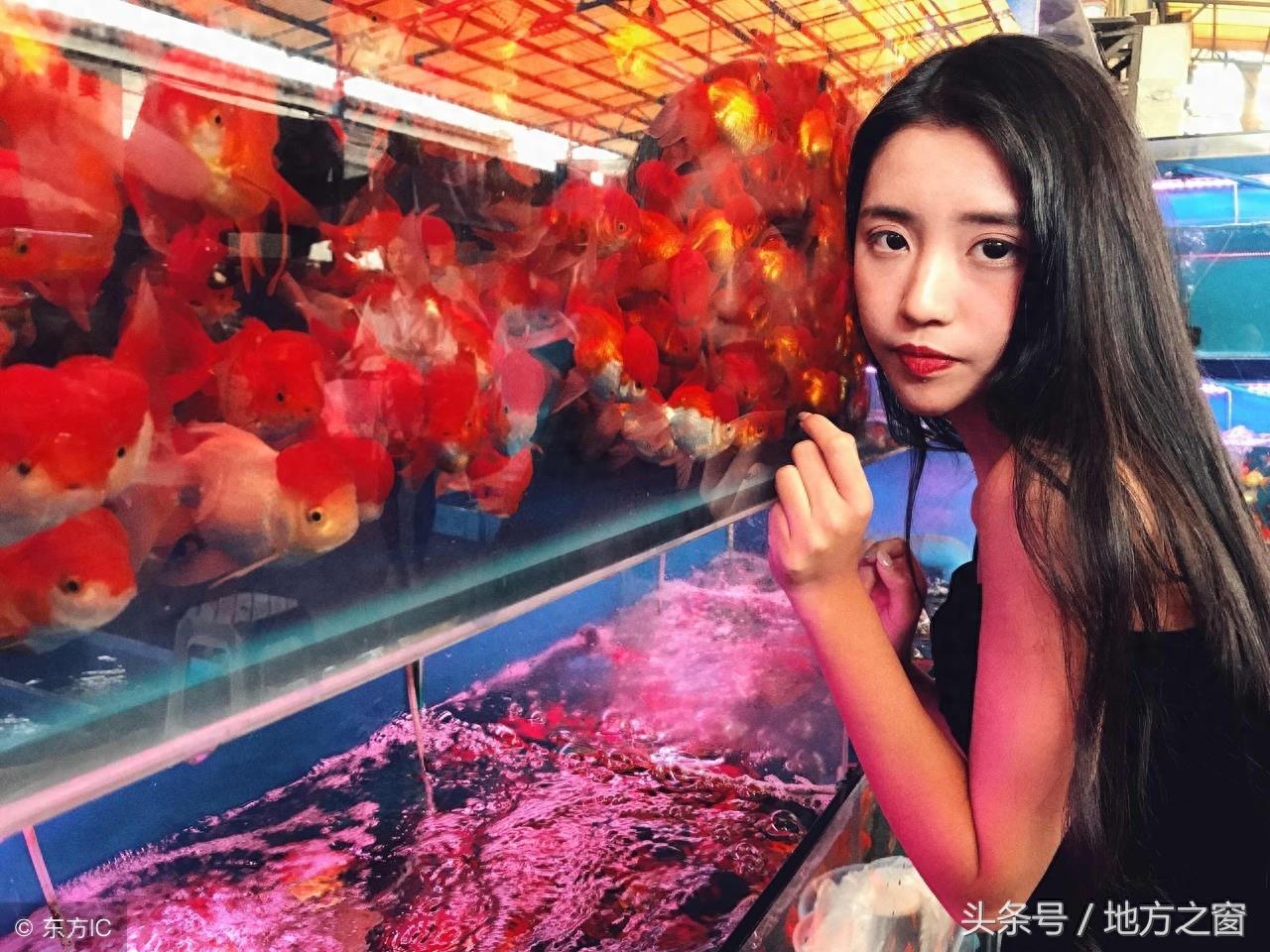 传说中的“鲲”,是否真的存在?