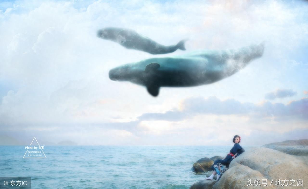 传说中的“鲲”,是否真的存在?