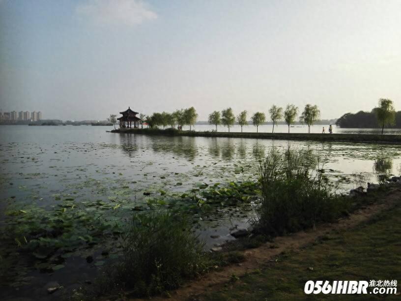 淮北南湖公园波光粼粼 风景秀美 夏日的休闲好去处