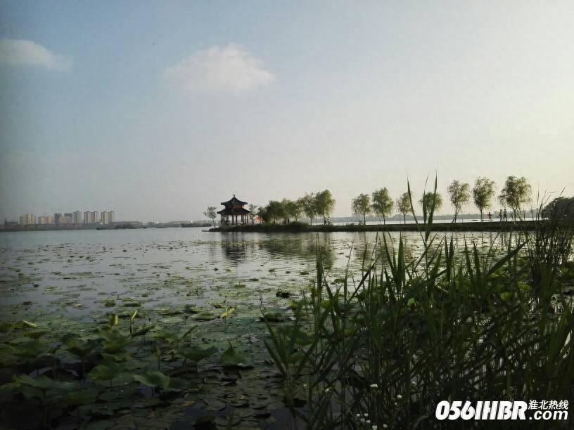 淮北南湖公园波光粼粼 风景秀美 夏日的休闲好去处