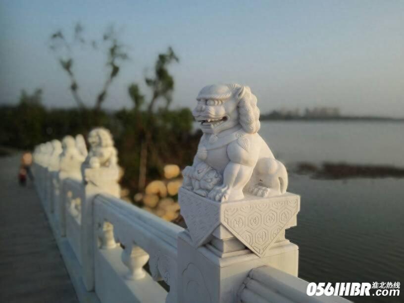 淮北南湖公园波光粼粼 风景秀美 夏日的休闲好去处