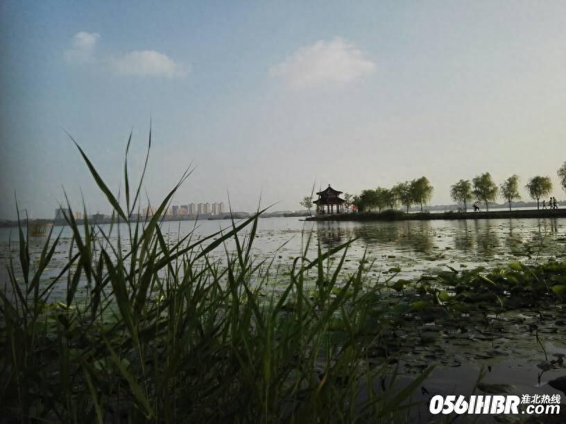 淮北南湖公园波光粼粼 风景秀美 夏日的休闲好去处