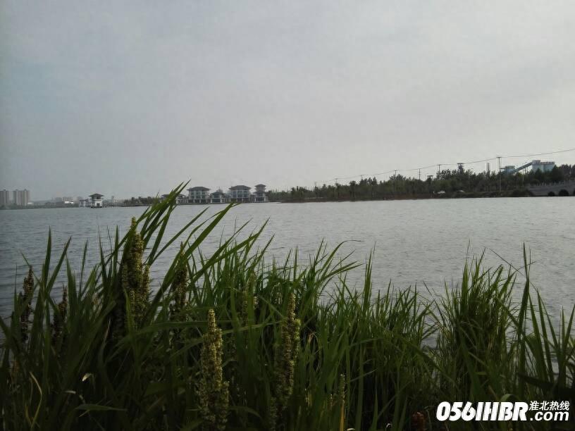 淮北南湖公园波光粼粼 风景秀美 夏日的休闲好去处