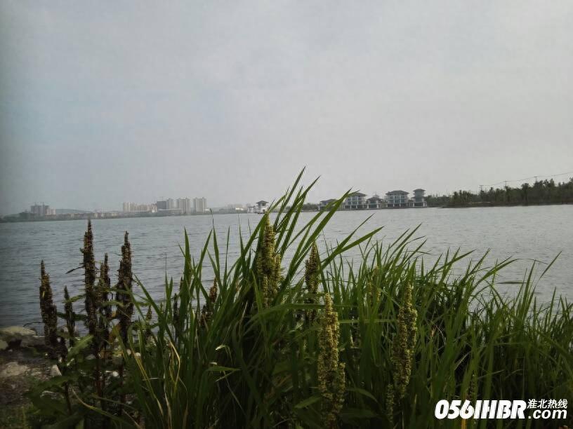 淮北南湖公园波光粼粼 风景秀美 夏日的休闲好去处