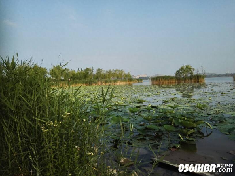 淮北南湖公园波光粼粼 风景秀美 夏日的休闲好去处