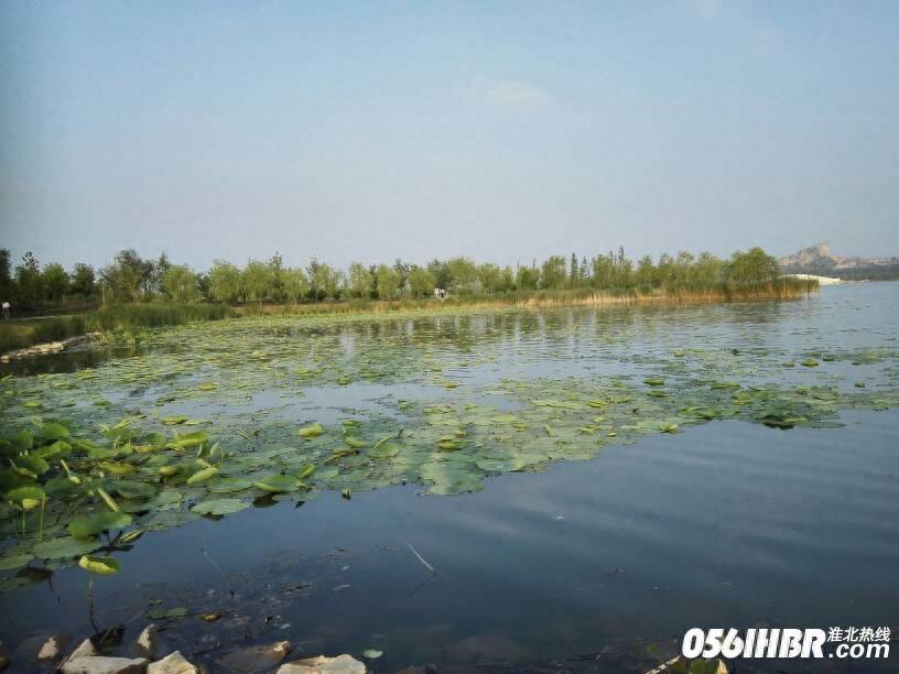 淮北南湖公园波光粼粼 风景秀美 夏日的休闲好去处
