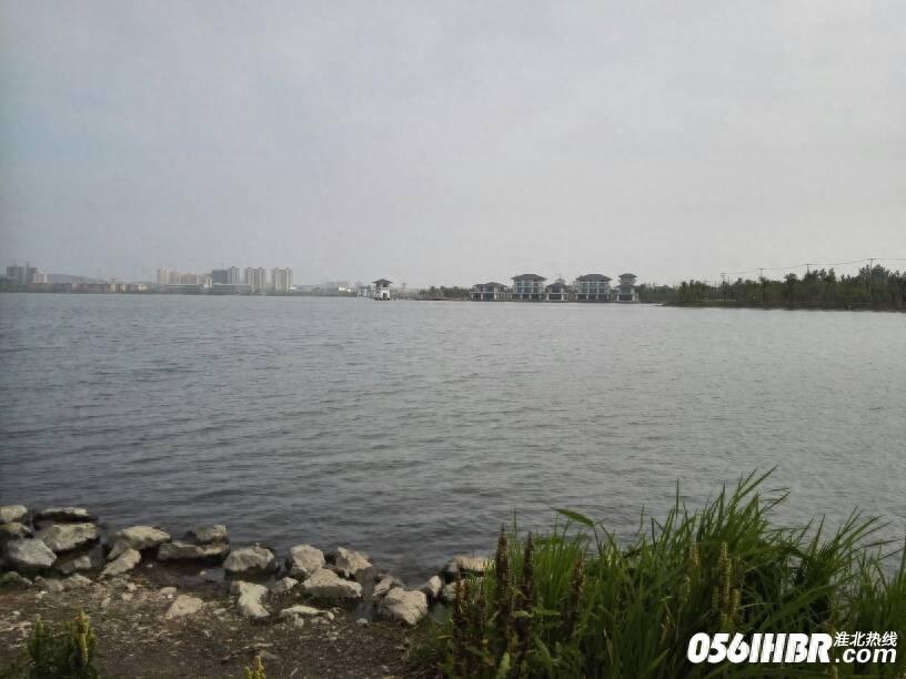 淮北南湖公园波光粼粼 风景秀美 夏日的休闲好去处