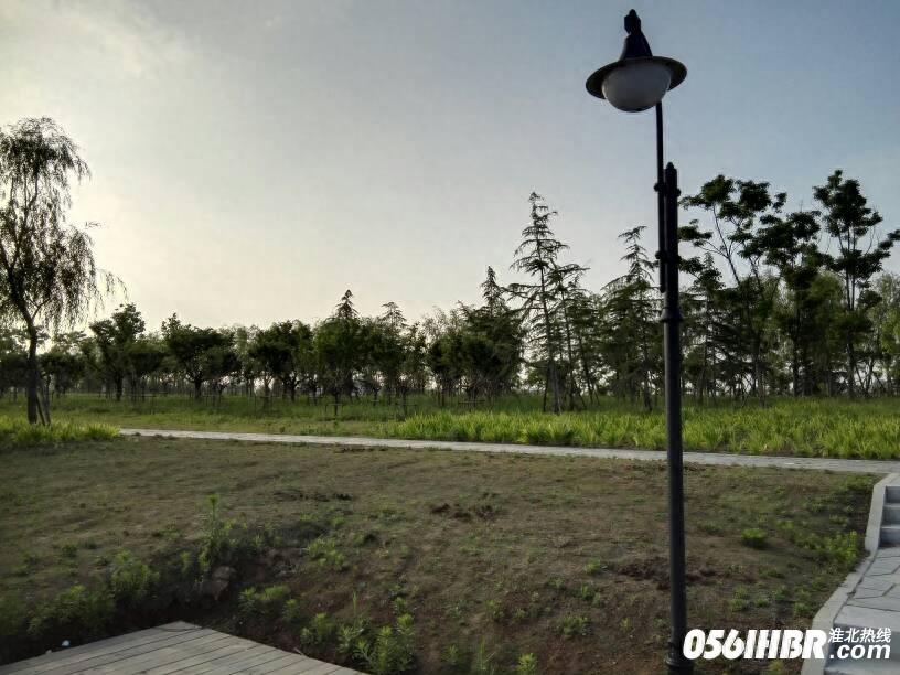 淮北南湖公园波光粼粼 风景秀美 夏日的休闲好去处