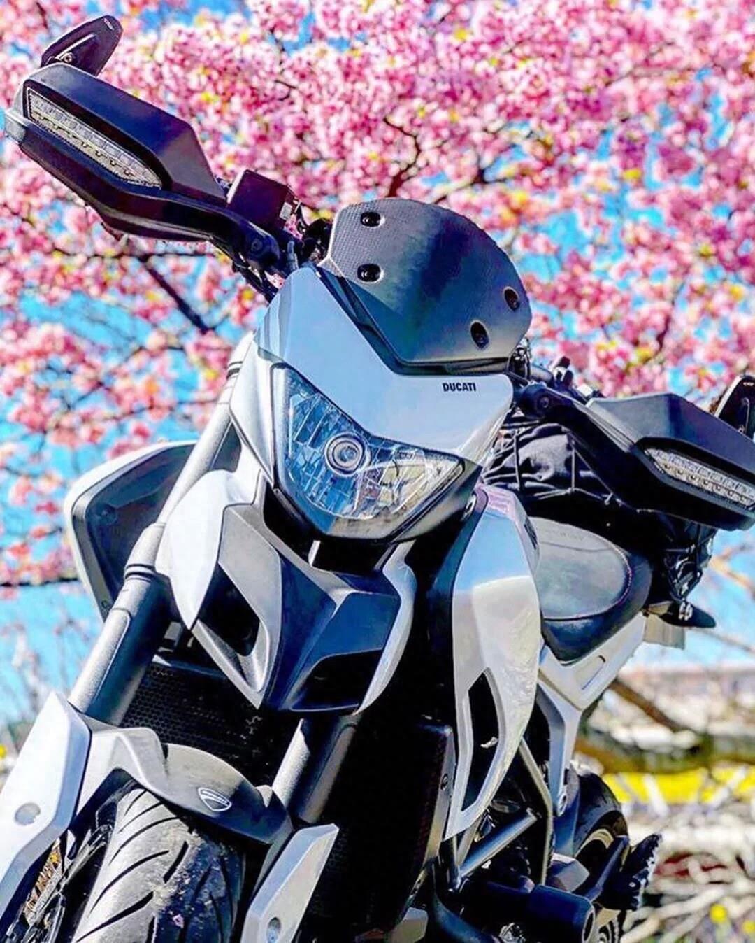 杜卡迪Hypermotard骇客,绝世稀有的车型!