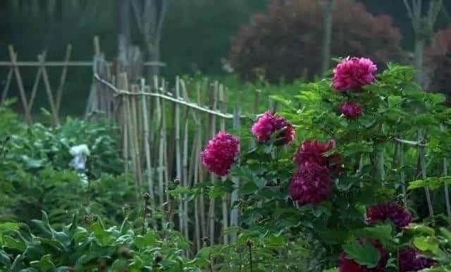 朱敦儒最有名的十首词（朱敦儒著名的十首诗词作品）