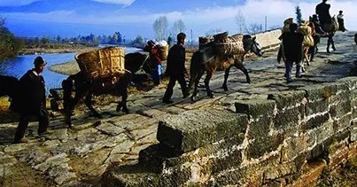 广东冼村为什么很有钱（冼村为什么叫土豪村）-