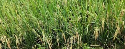 ​舞台剧表演注意问题(话剧和电影)