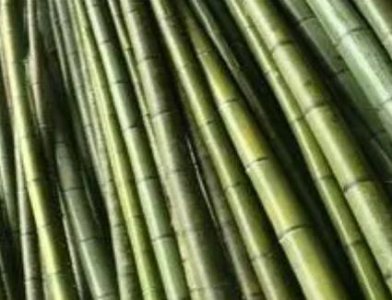 ​古代敲竹杠说法流传那么广 这个说法是怎么出现的