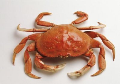 ​历史上第一个吃螃蟹的人，相传是壮士巴解