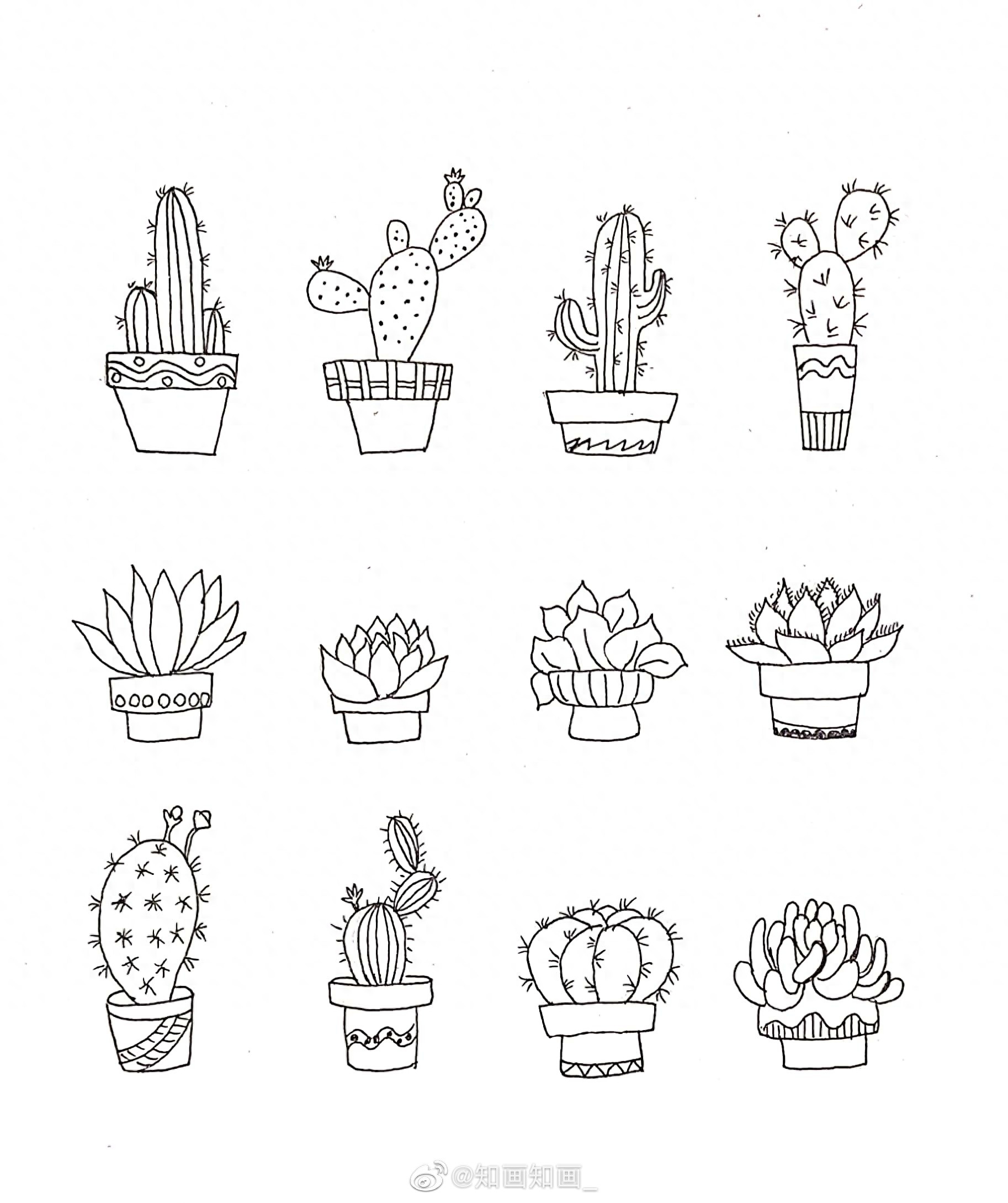 来一波实用又简单的手账盆栽绘画素材，既能自己用还能教孩子画画