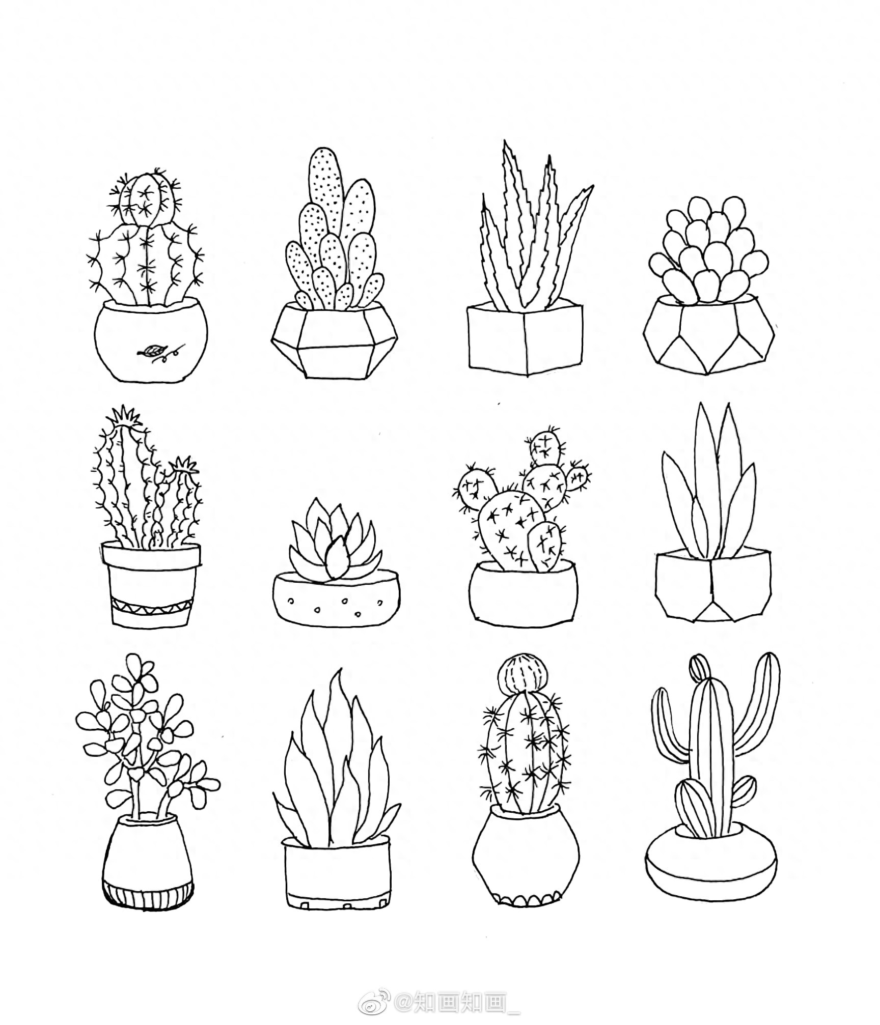 来一波实用又简单的手账盆栽绘画素材，既能自己用还能教孩子画画