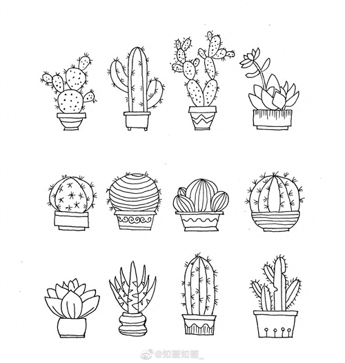 来一波实用又简单的手账盆栽绘画素材，既能自己用还能教孩子画画