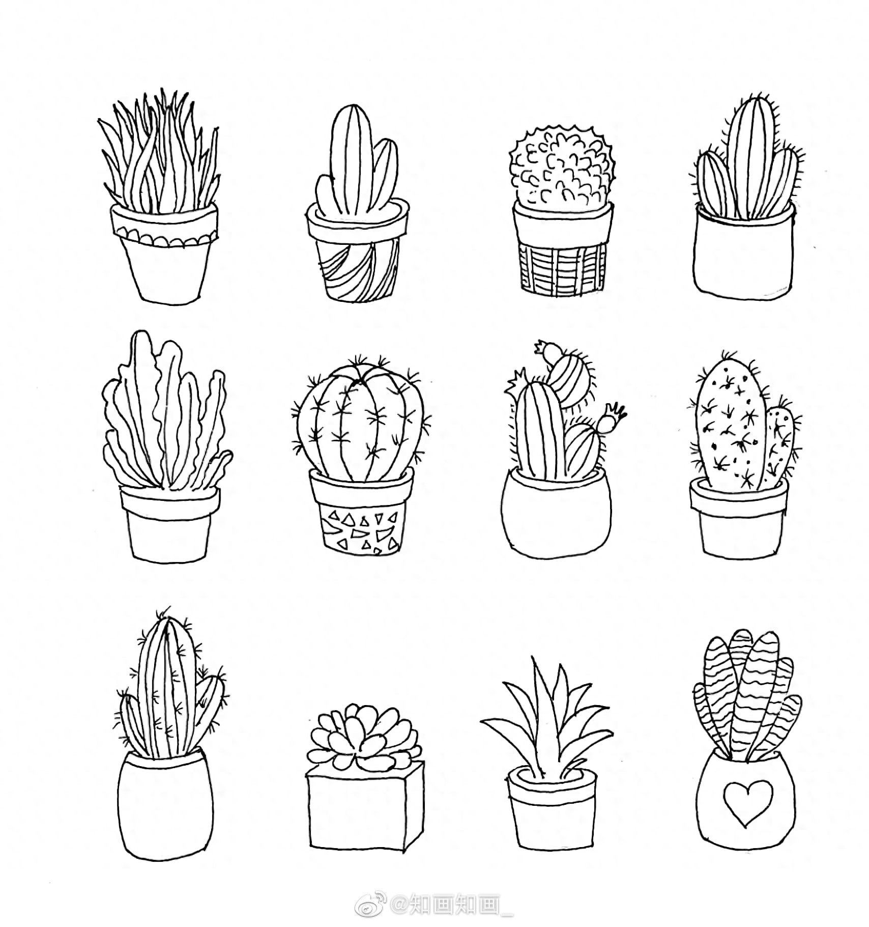 来一波实用又简单的手账盆栽绘画素材，既能自己用还能教孩子画画