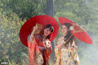 ​世系图说历史：2000年日本简史，2600年“万古一系”日本天皇世系