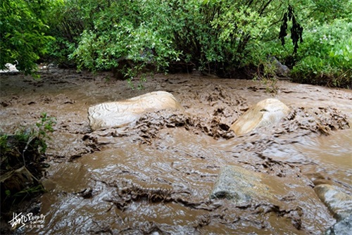 文成公主庙，因其悠久的历史文化，被当地人称为玉树高原洞天福地