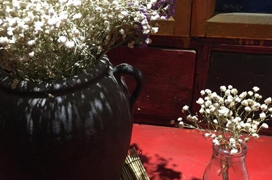 满天星叶子干枯怎么办(图)(图2)