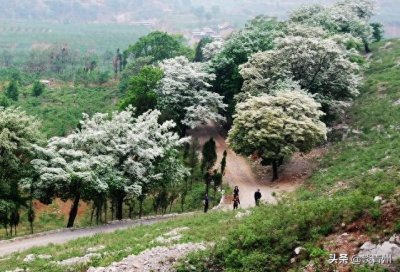 ​走近青州 | 邵庄镇历史