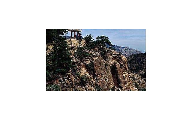 双鱼男会故意不回消息，一般是为什么