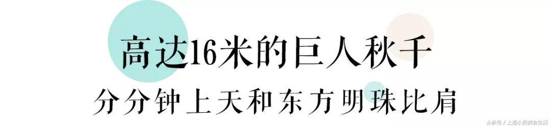 游乐场高空蹦极第一视角（16米巨型秋千40米透明滑梯）(31)