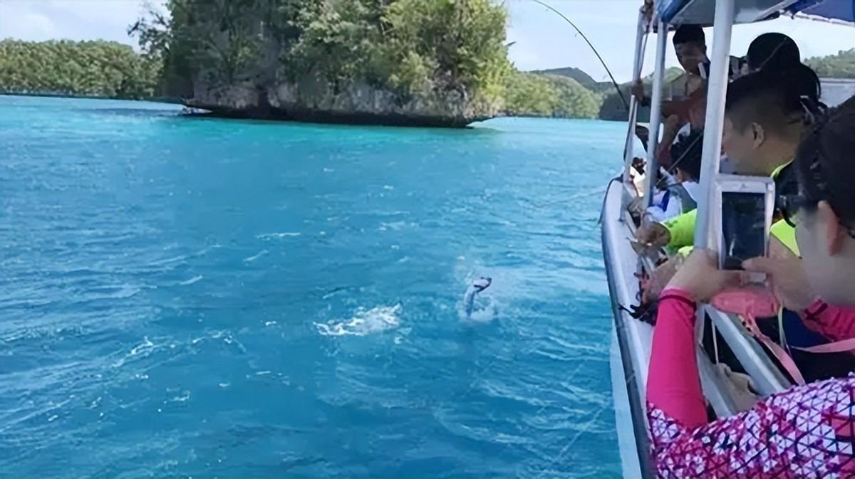 帕劳为什么不能去了(帕劳对中国人友好吗)