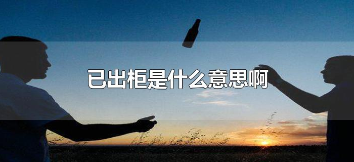 已出柜是什么意思啊