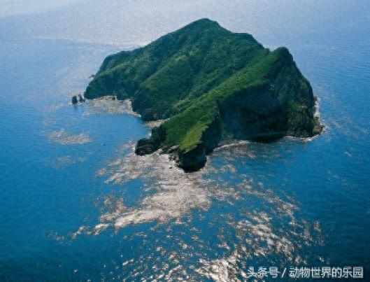 世界唯一一座以蛇命名的岛,位于我国大连