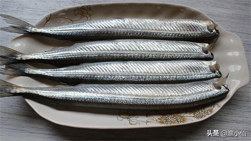 身体几乎是透明的鱼,在淡水里繁殖,但生长却是在海水里