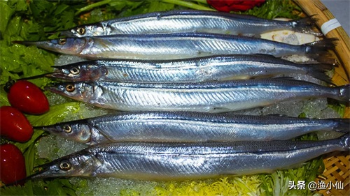 身体几乎是透明的鱼,在淡水里繁殖,但生长却是在海水里