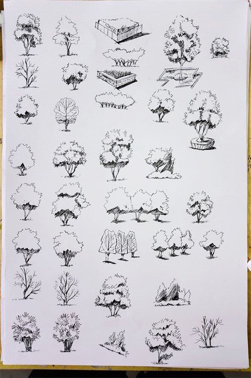 环境设计专业，手绘技法表现之室内、家具、陈设品、绿植黑白线稿