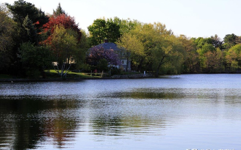 杰森为什么死不了(解析一个电影恐怖人物杰森)