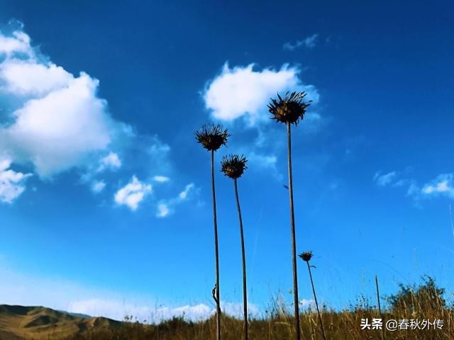 扎西德勒是什么意思（扎西德勒历史来源文章分享）