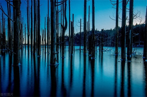 明月何时照人来——5A景区明月山