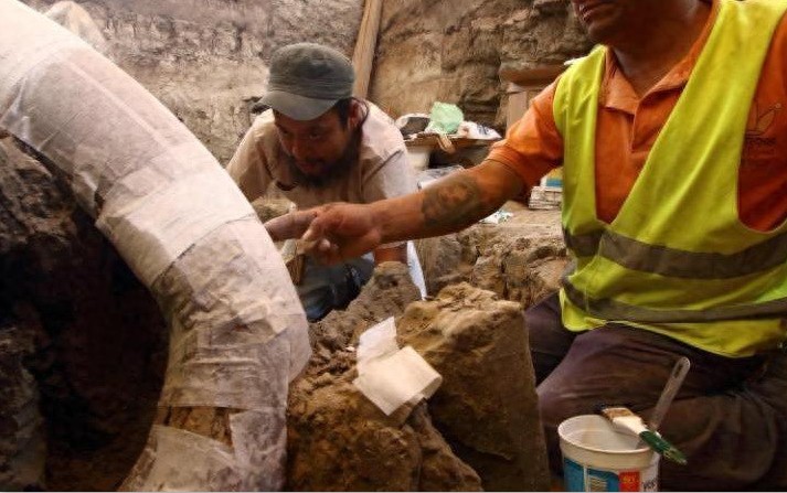 墨西哥发现1.4万年前长毛象尸骨，长至近5米高及10吨重