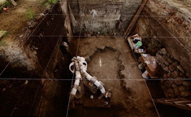 墨西哥发现1.4万年前长毛象尸骨，长至近5米高及10吨重