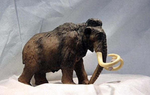 墨西哥发现1.4万年前长毛象尸骨，长至近5米高及10吨重